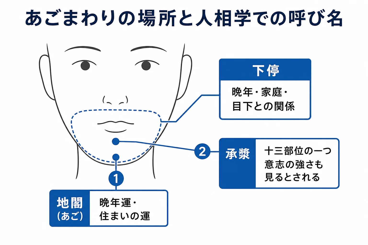 人相学 顎の地閣・下停・承漿の場所を簡略な正面顔の線画で示した図解