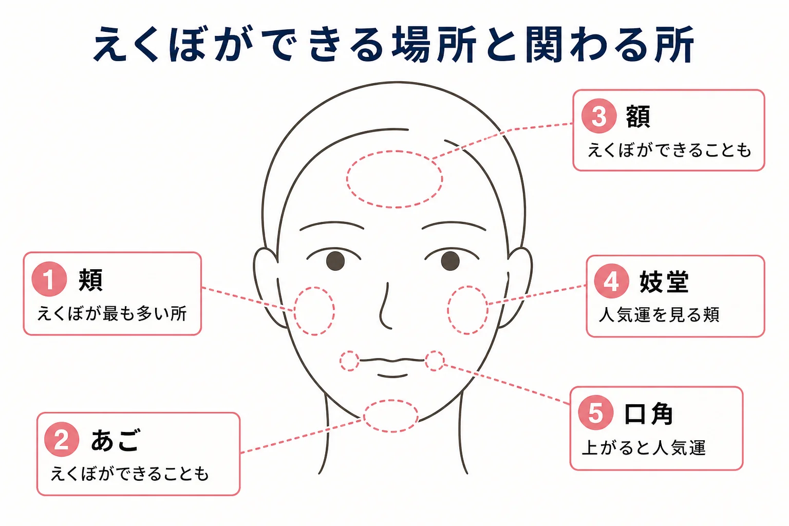 えくぼができる頬・あご・額の場所と、関わりの深い妓堂や口角を、線画の正面顔に番号で示した図解