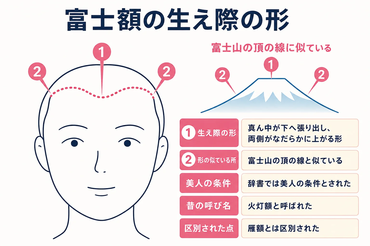 富士額の生え際の形を、簡略な正面顔の線画に点線で示した図解