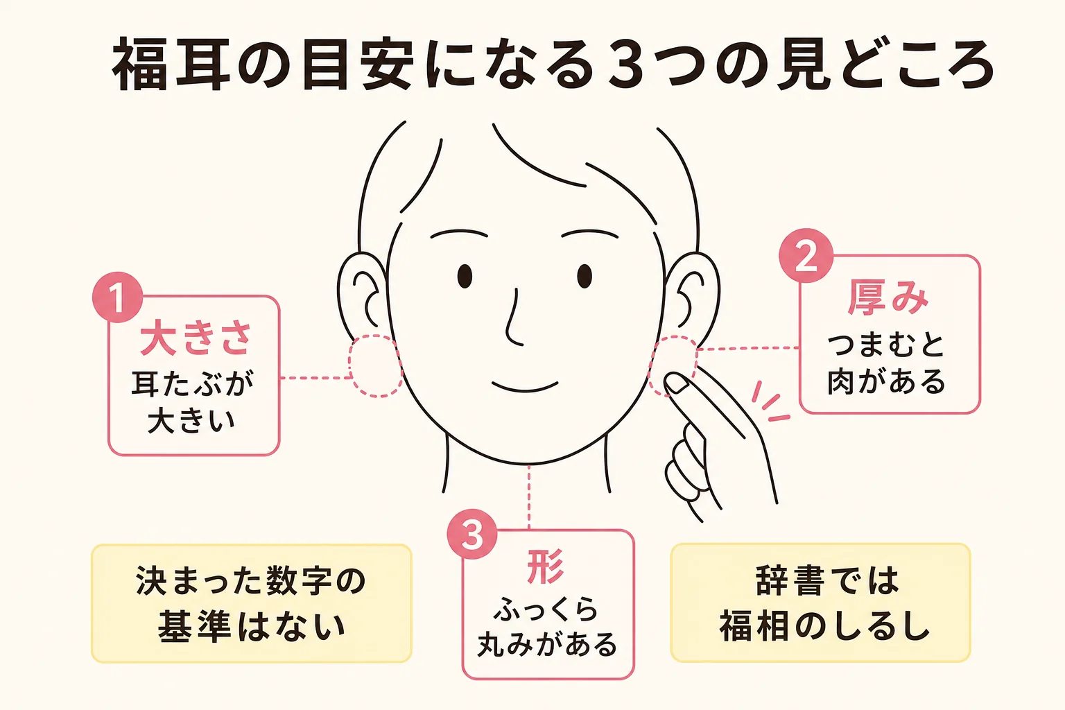 福耳と呼ばれやすい耳たぶの大きさ・厚み・形の見どころを、線画の横顔の耳に番号で示した図解