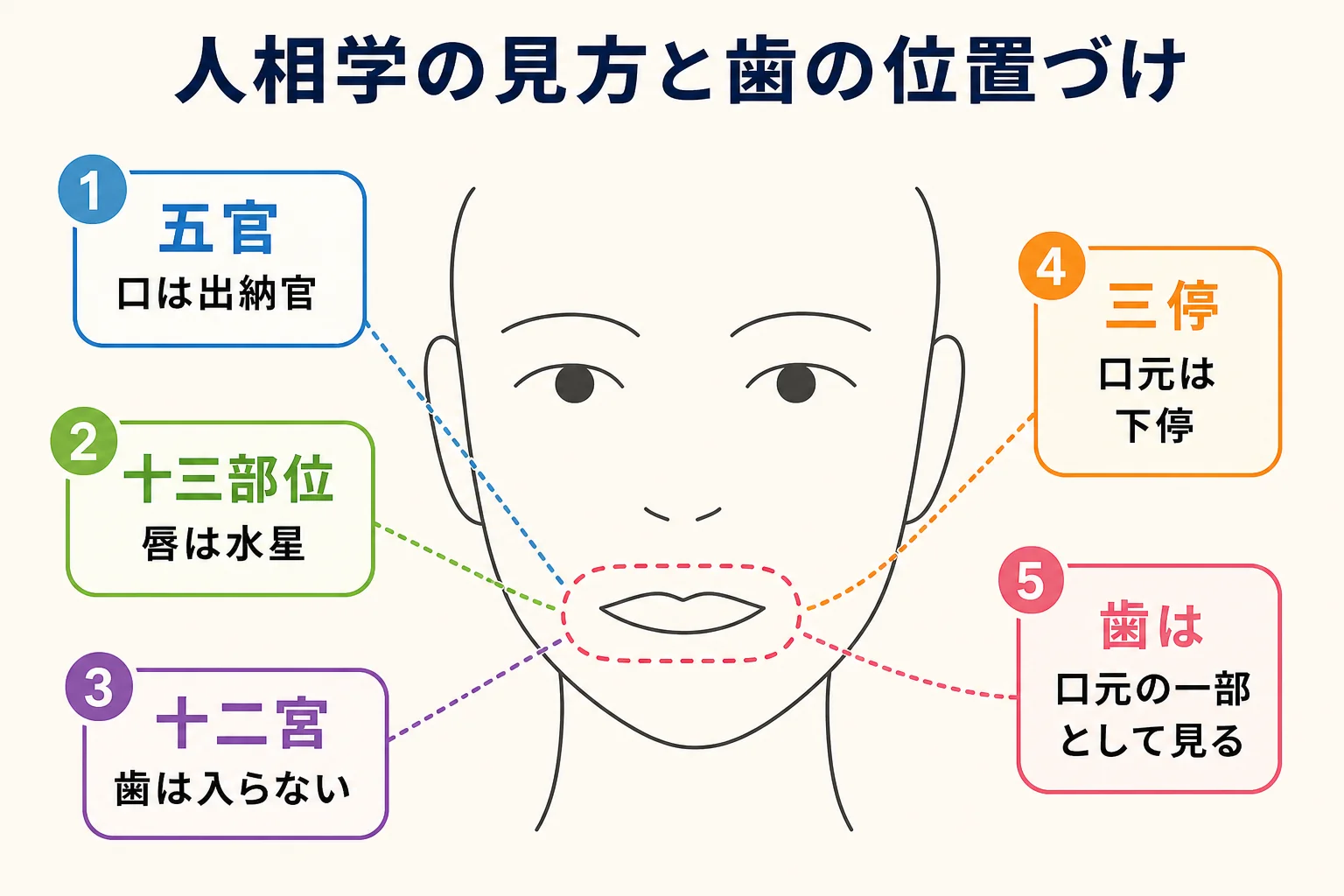 人相学の代表的な見方と、歯の位置づけを整理した図解
