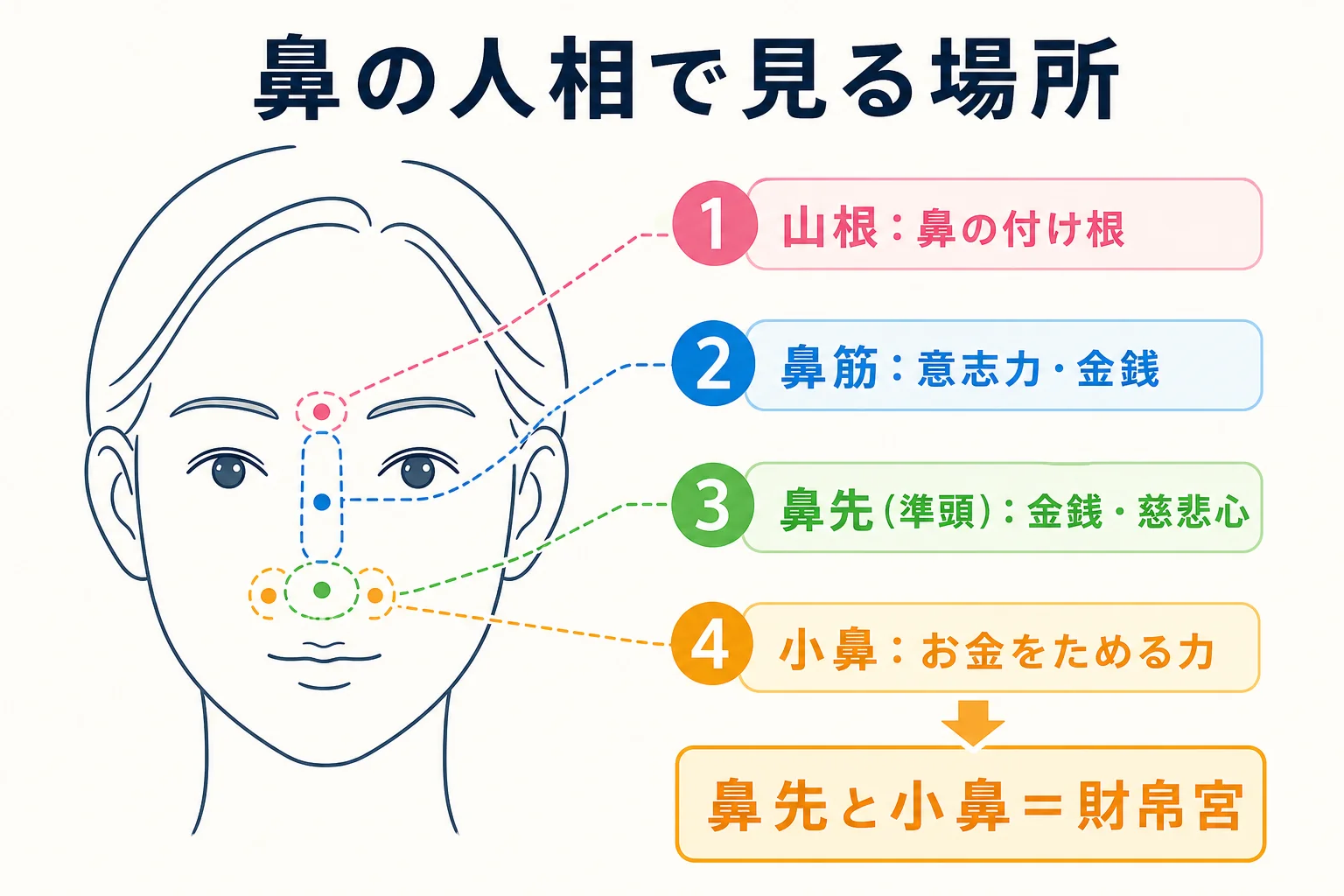鼻の高さ・大きさ・小鼻・鼻先・鼻筋の場所を正面顔の線画で示した図解