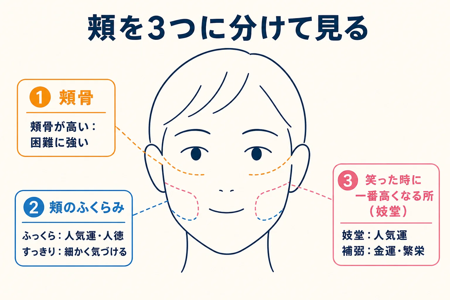 頬骨・頬のふくらみ・笑った時の盛り上がりの場所を簡略な正面顔の線画で示した図解
