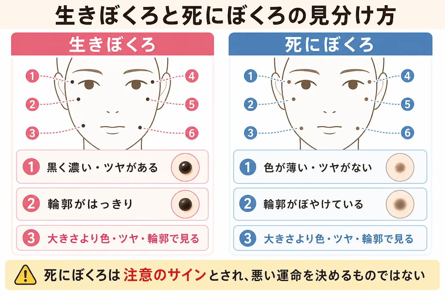 鼻のほくろの読み方が変わるとされる、生きぼくろと死にぼくろの特徴を比べた図解