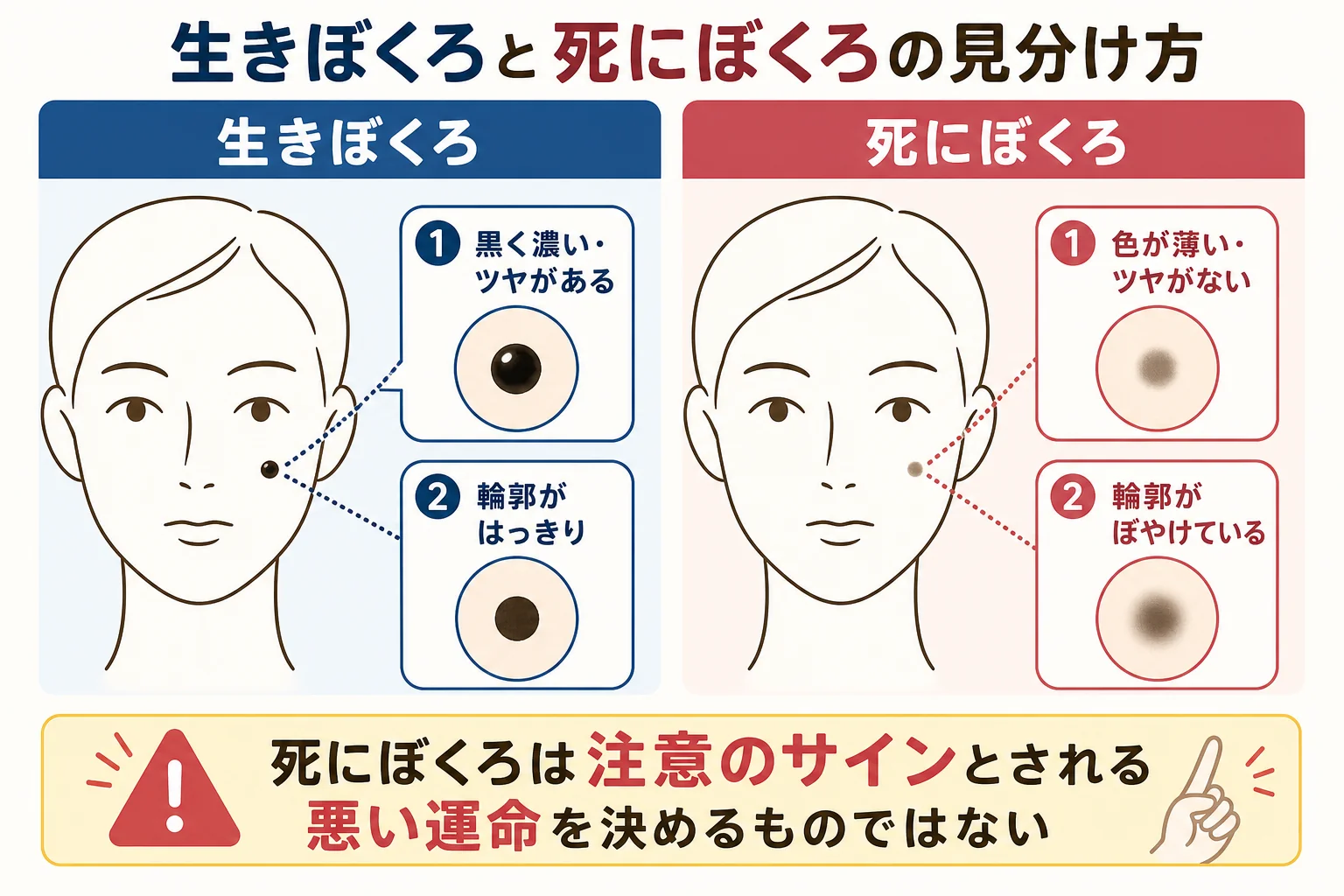 唇のほくろの読み方が変わるとされる、生きぼくろと死にぼくろの特徴を比べた図解