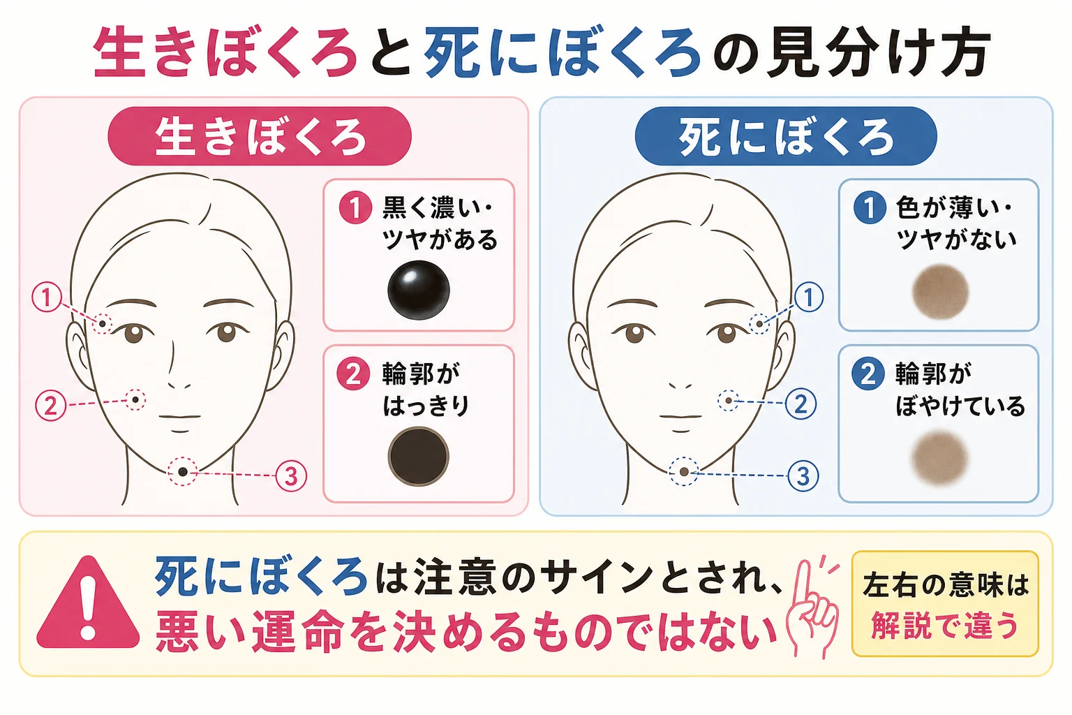 目元のほくろの読み方が変わるとされる、生きぼくろと死にぼくろの特徴を比べた図解
