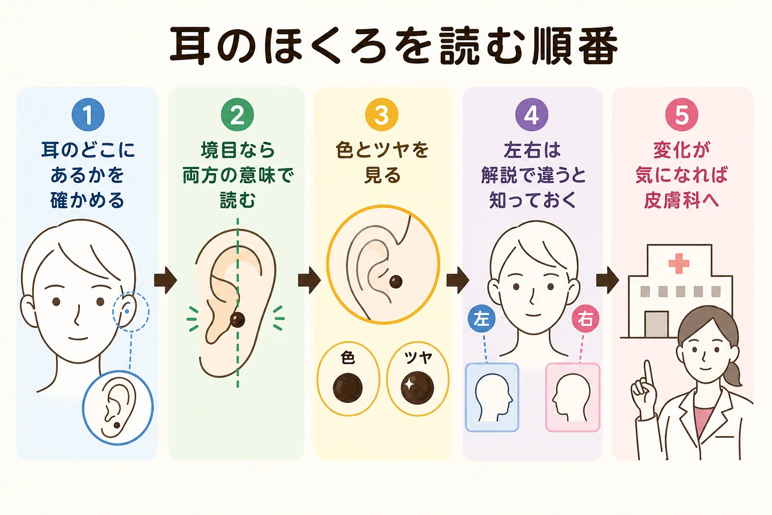 耳のほくろを位置・境目・色とツヤ・左右の順に読んでいく流れを示した図解
