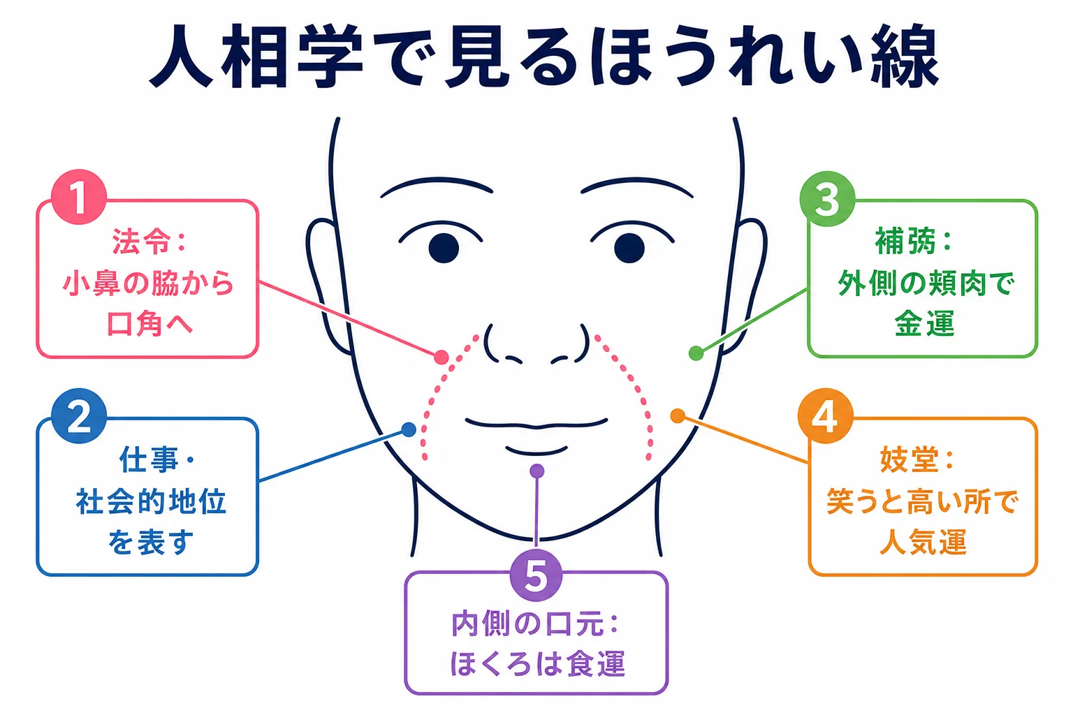 ほうれい線の場所と人相学での呼び名を正面顔の線画で示した図解