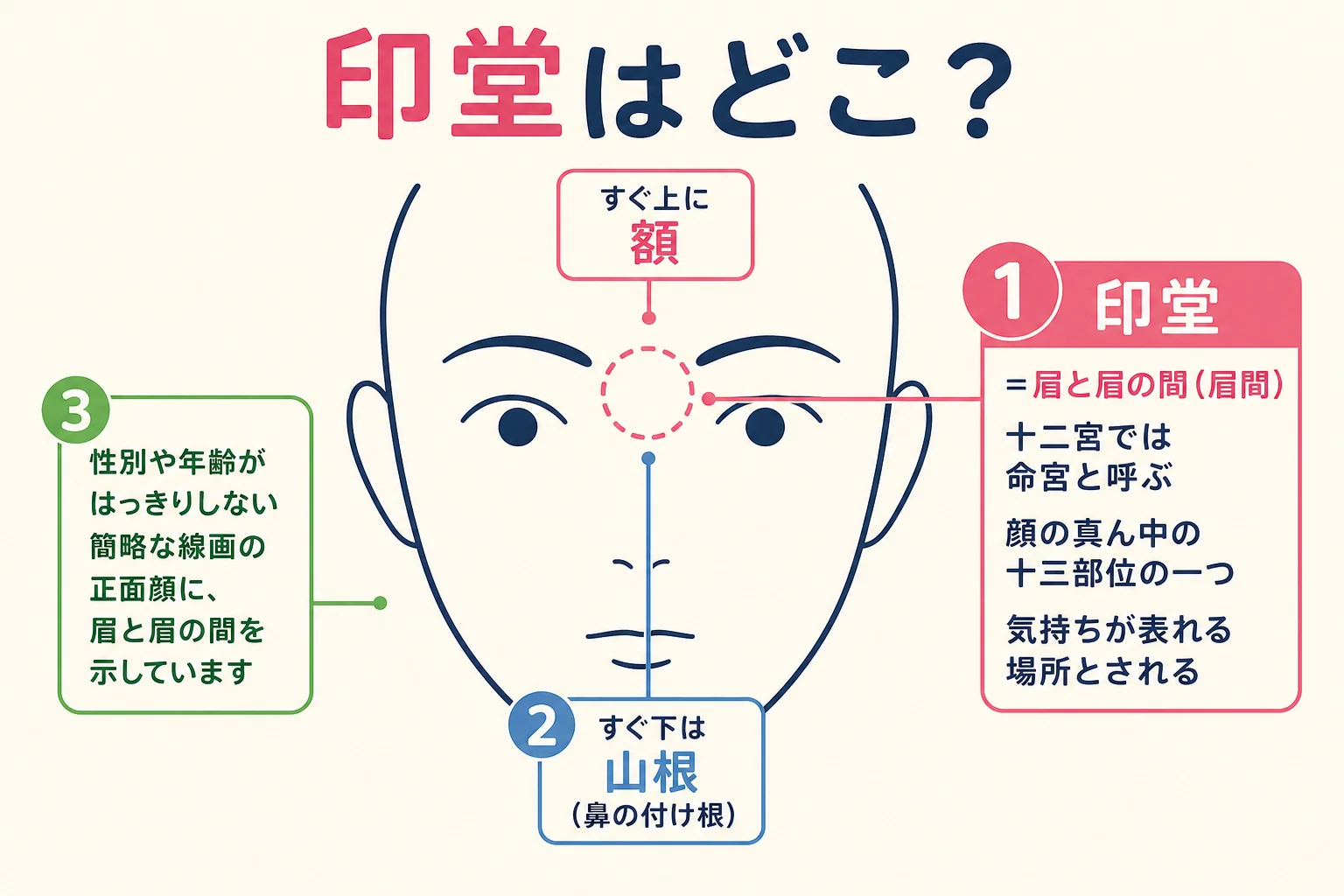 印堂の場所を正面顔の線画で示した図解