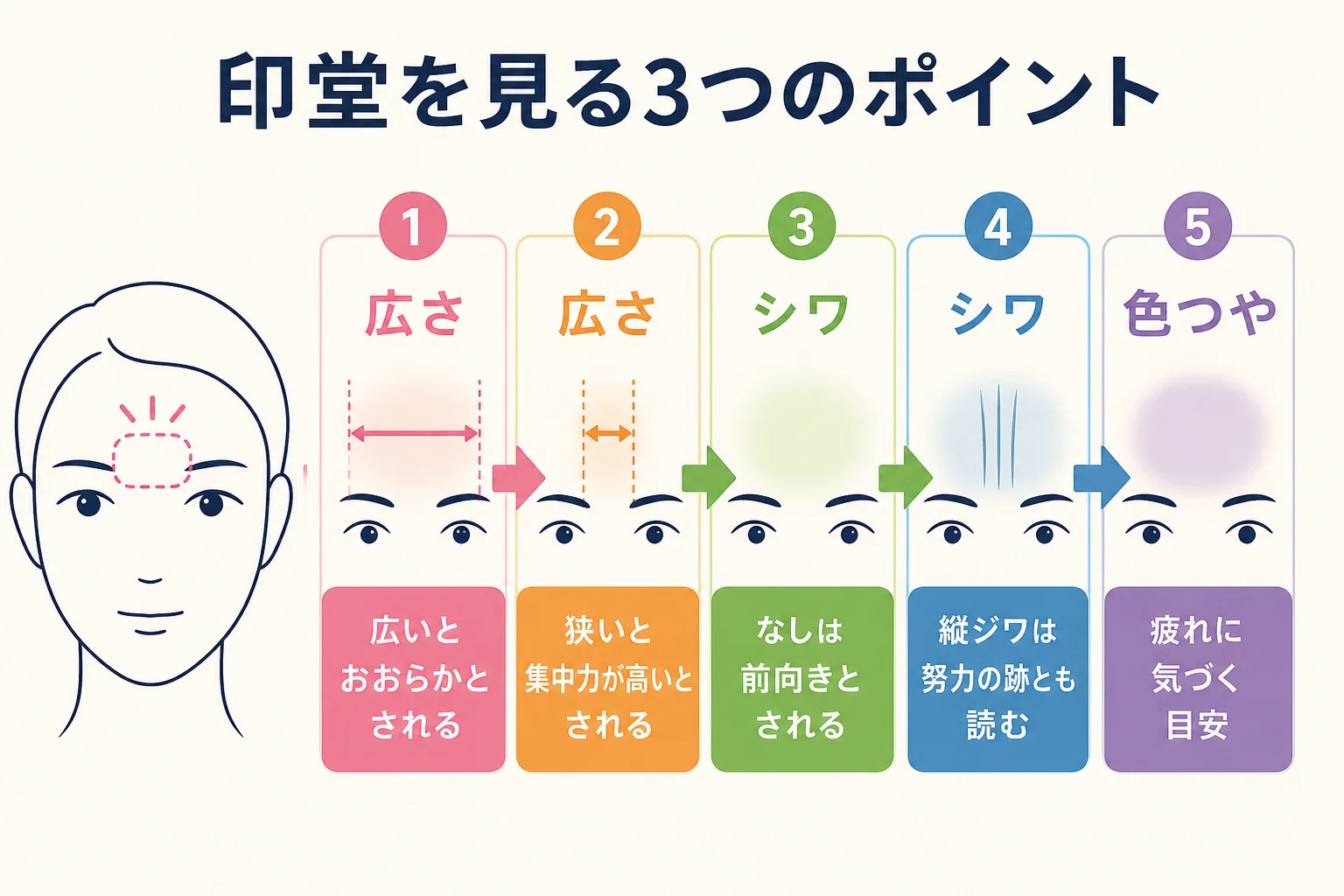 印堂を広さ・シワ・色つやの3点で見るチェックの流れ
