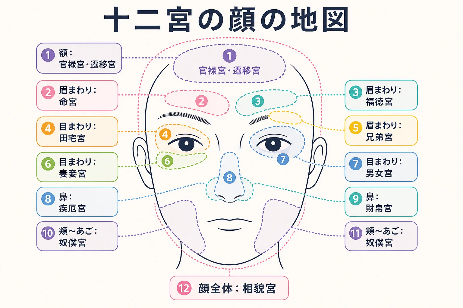 人相学の十二宮の場所を正面顔の線画に番号で示した顔の地図