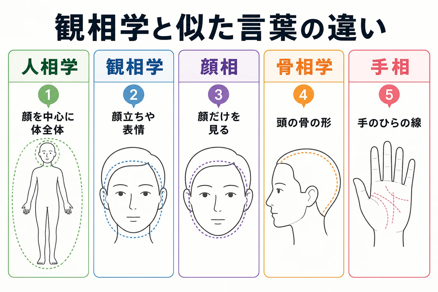 観相学 人相学 顔相 骨相学 手相を見る場所と起源で比べた図解