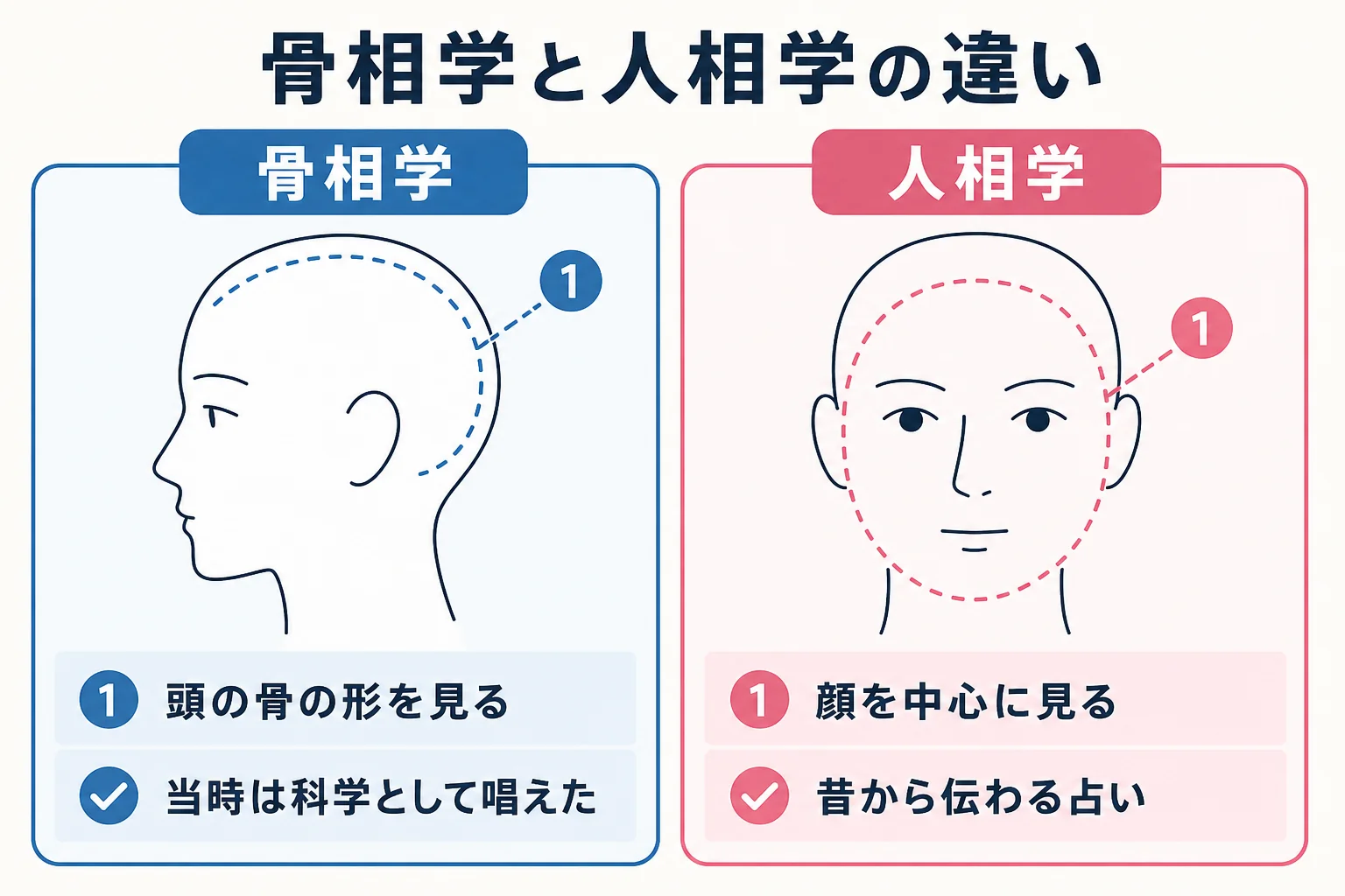 骨相学と人相学の違いを見る場所と立ち位置で比べた図解