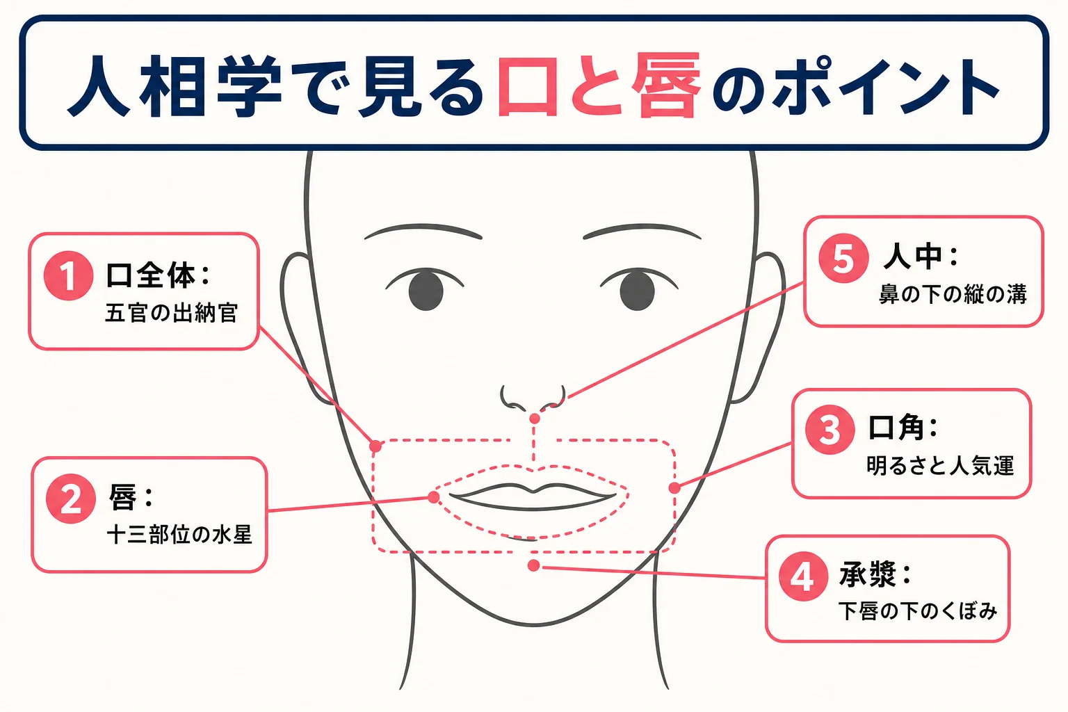 口と唇の見るポイントを正面顔の線画で示した図解