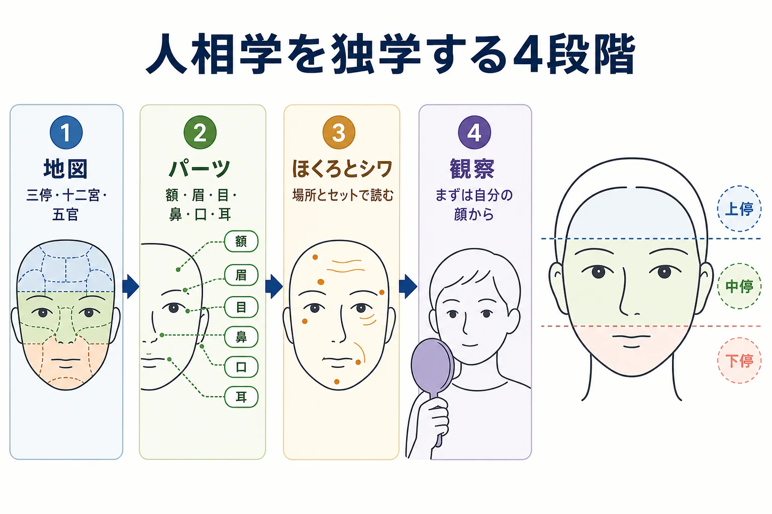 人相学を独学する順番を、地図・パーツ・ほくろとシワ・観察の4段階で示した図解