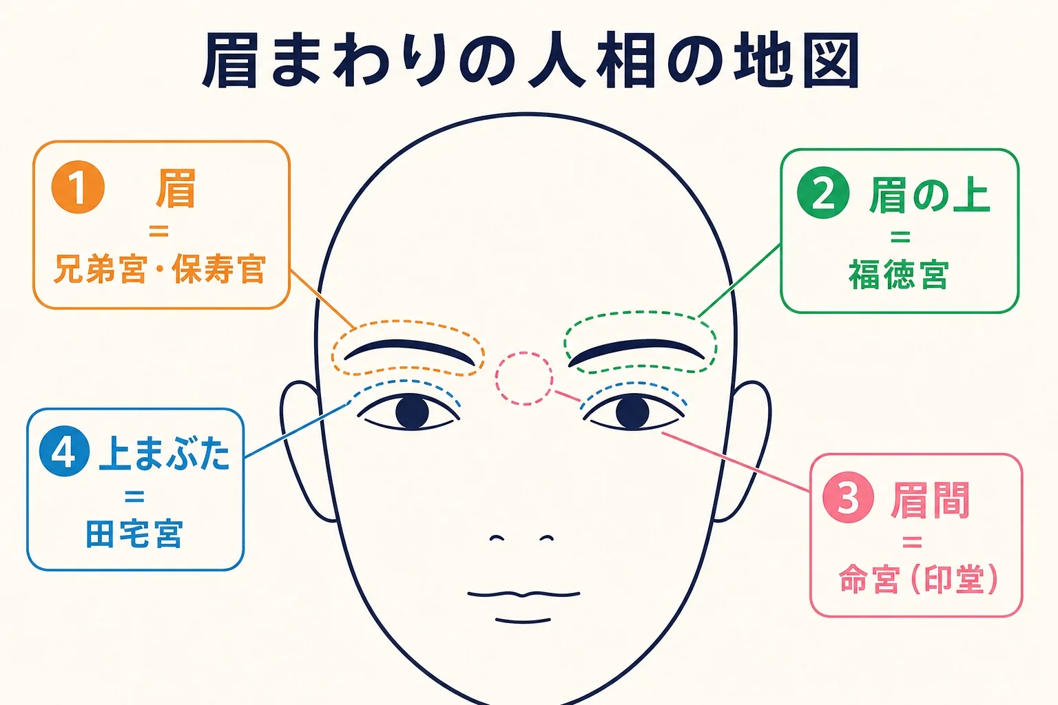 眉・眉の上・眉間・上まぶたの十二宮での呼び名を正面顔の線画で示した図解