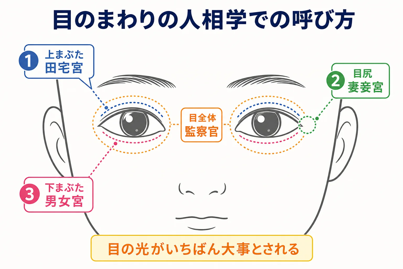 人相学で目のまわりの上まぶた・目尻・下まぶたの呼び方を示した図解