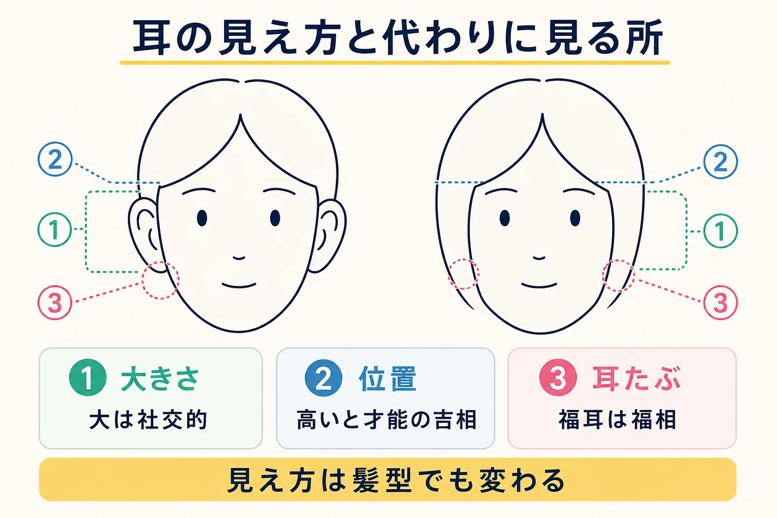 正面から耳が見える立ち耳と、耳がほとんど見えない顔を、線画の正面顔で並べ、代わりに見る耳の大きさ・位置・耳たぶを示した図解