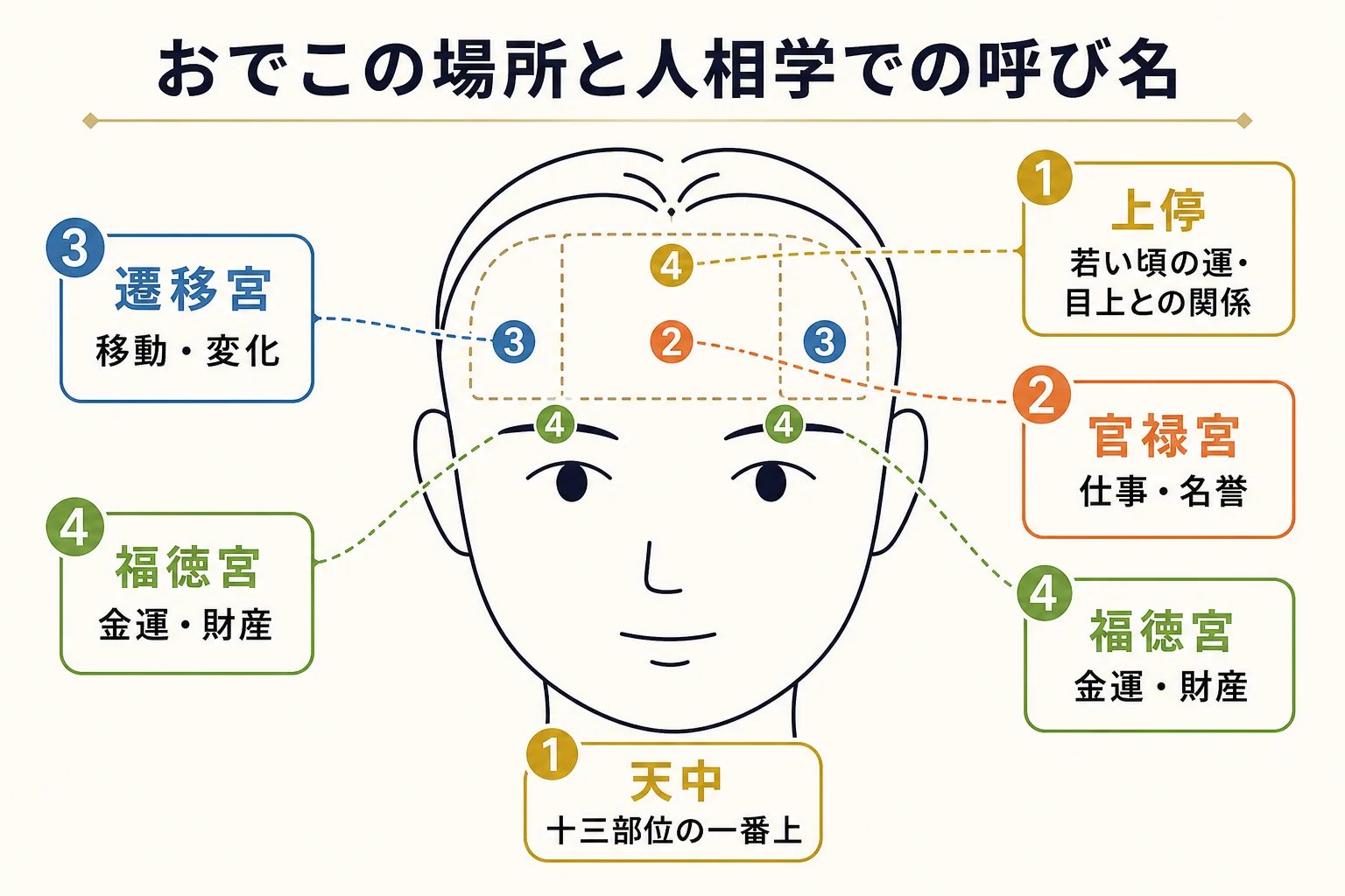 人相学 おでこの上停・官禄宮・遷移宮・福徳宮の場所を示した図解