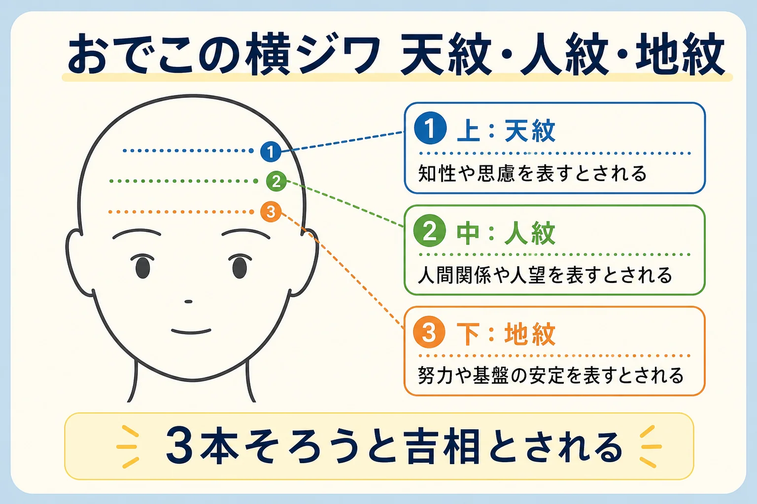 おでこの横ジワ3本(天紋・人紋・地紋)の位置を簡略な正面顔の線画で示した図解
