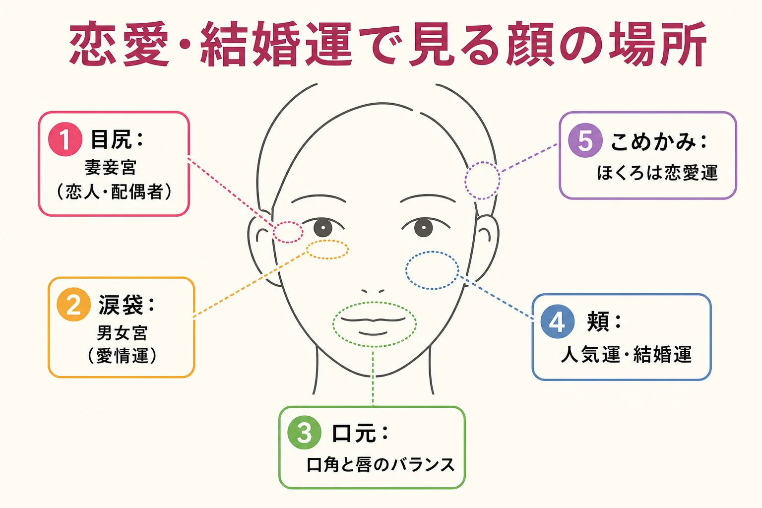 恋愛・結婚運で人相学がよく見る目尻・涙袋・口元・頬・こめかみの場所を、線画の正面顔に番号で示した図解