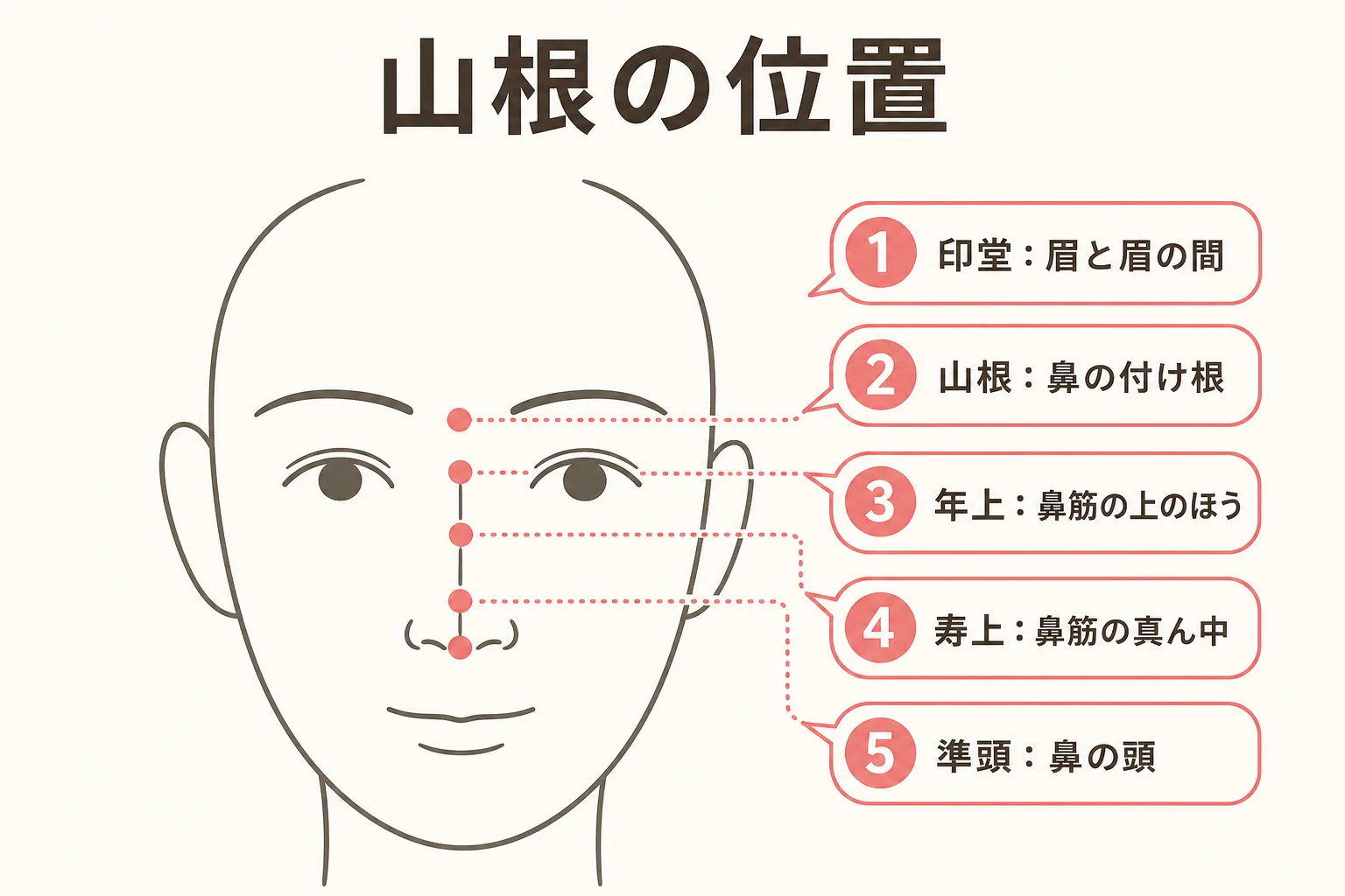 鼻の付け根(山根)と眉間・鼻筋の位置を正面顔の線画で示した図解