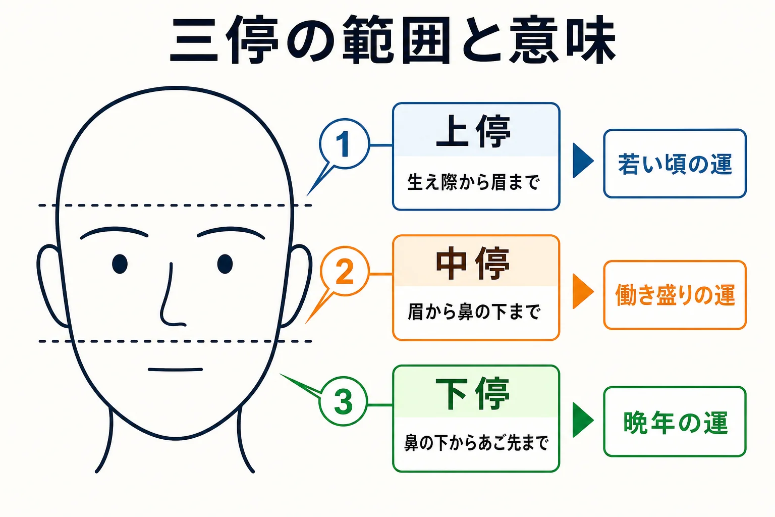 三停 人相の見方として顔を上停・中停・下停に分けた位置を示した図解
