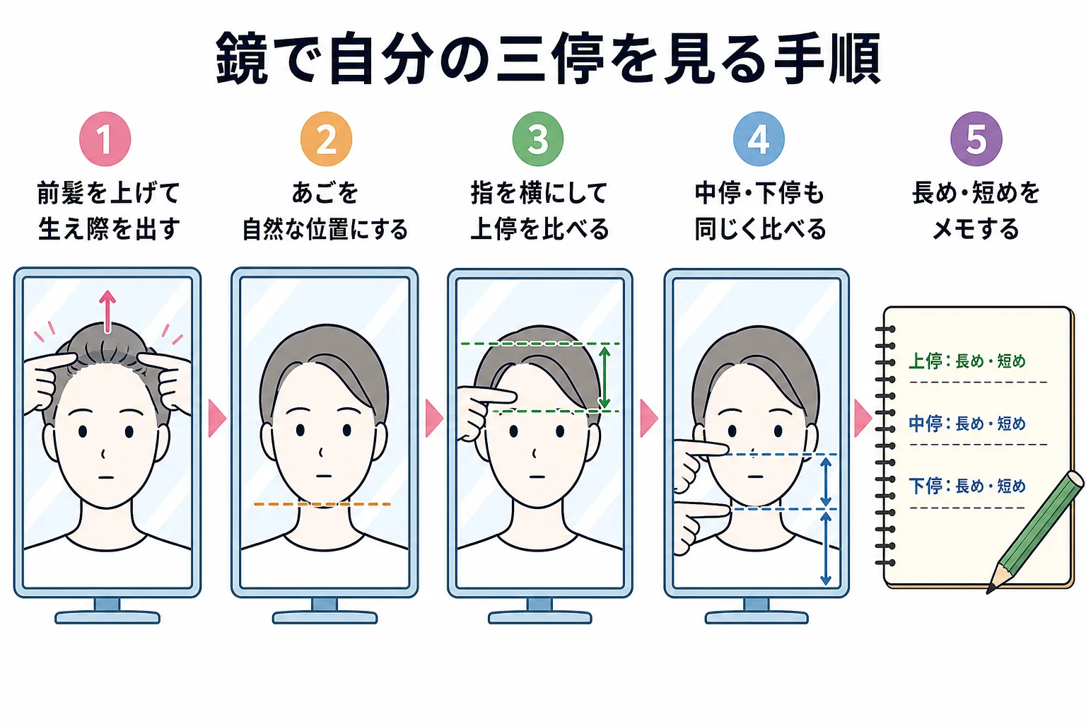 鏡と定規を使わずに自分の三停を見る手順を順番に示した図解