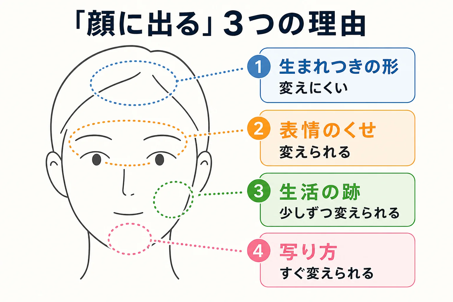 「顔に出る」と言われる理由を生まれつきの形・表情のくせ・生活の跡の3つに分けた図解