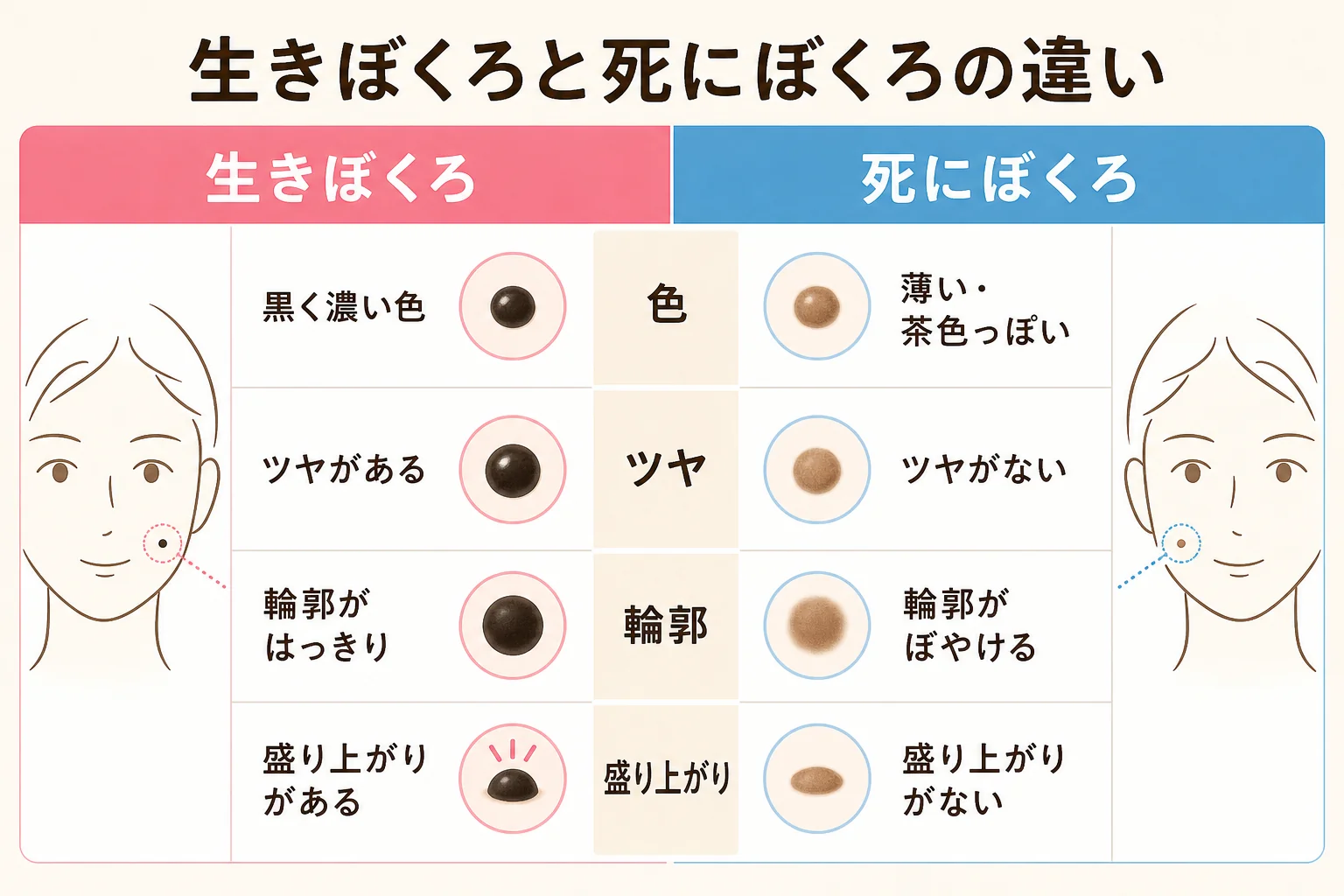 生きぼくろと死にぼくろの見た目の違いを色・ツヤ・輪郭で比べた図解