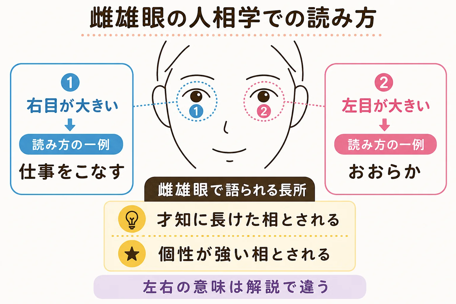 雌雄眼の人相学での読み方と長所として語られる面をまとめた図解