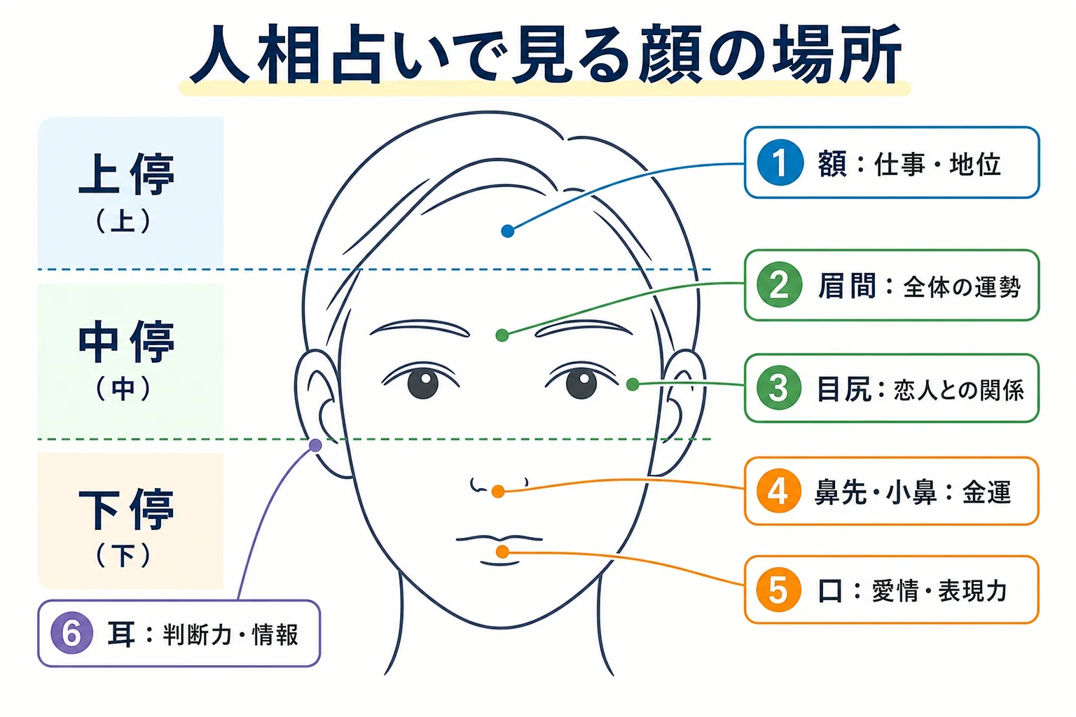 正面顔の線画に三停と主なパーツの位置を番号で示した人相占いの見方の図解